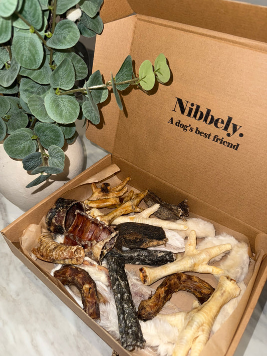 Large Monthly Subscription Box